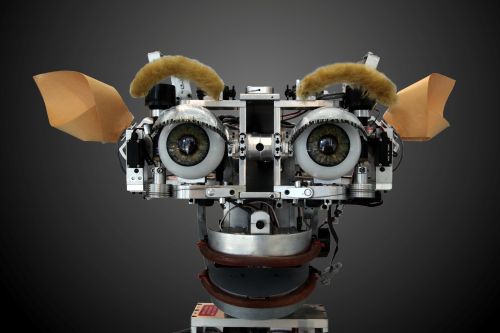 robot