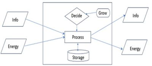 system